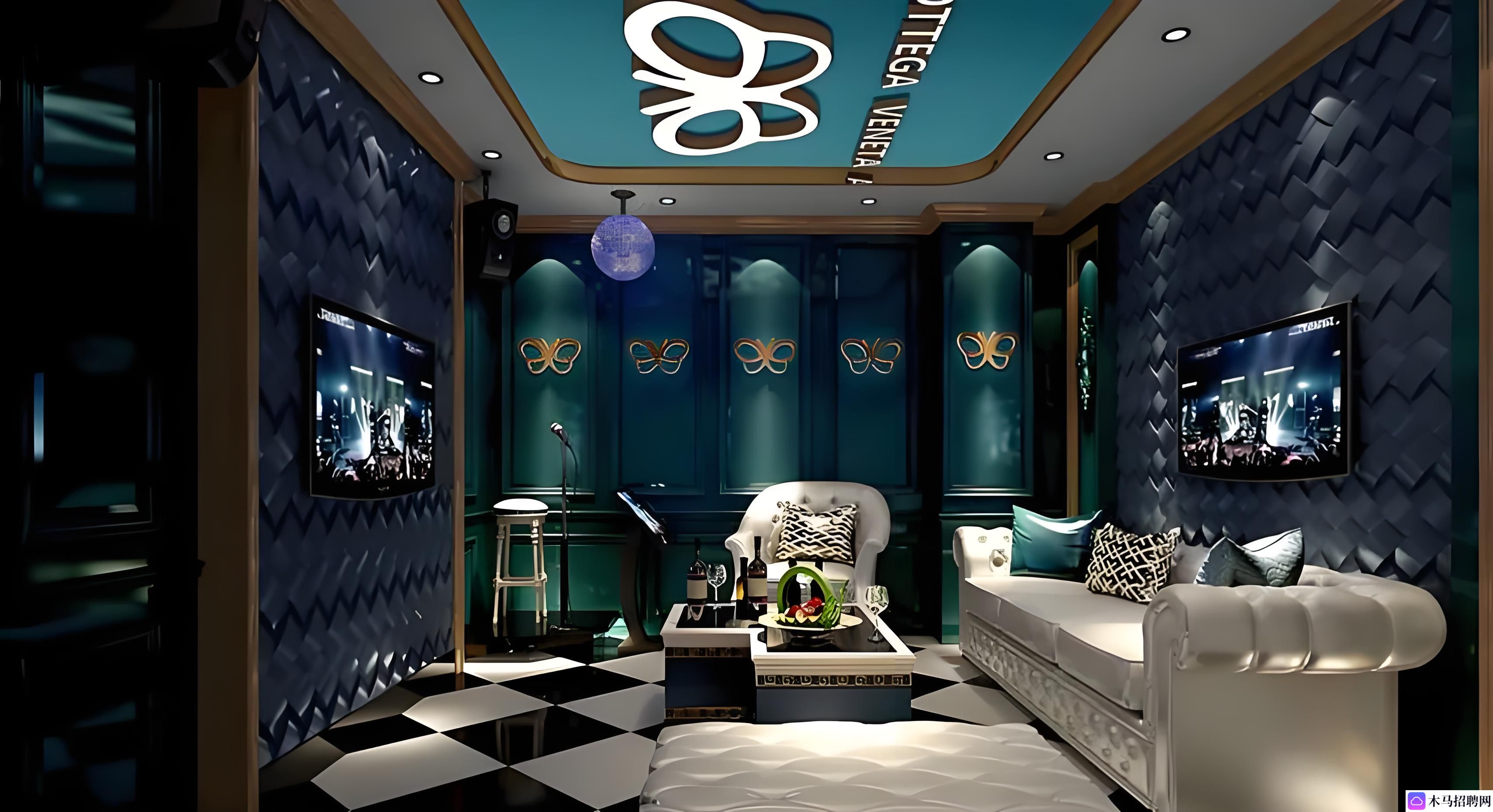 招聘奇才- 北京传媒大学周边清吧招女性创意短视频运营